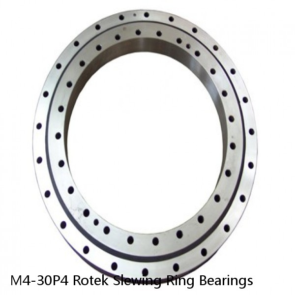 M4-30P4 Rotek Slewing Ring Bearings