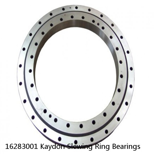 16283001 Kaydon Slewing Ring Bearings