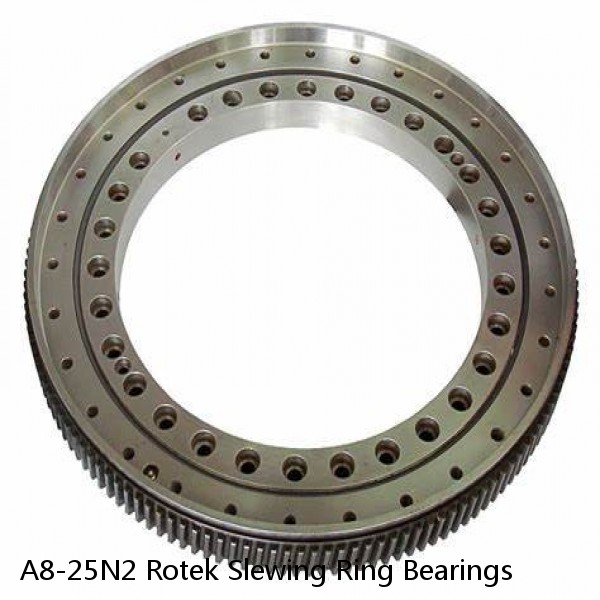 A8-25N2 Rotek Slewing Ring Bearings