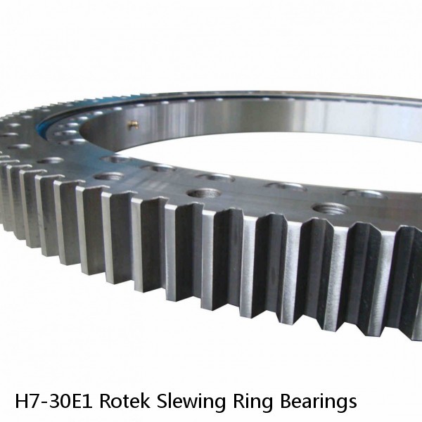 H7-30E1 Rotek Slewing Ring Bearings