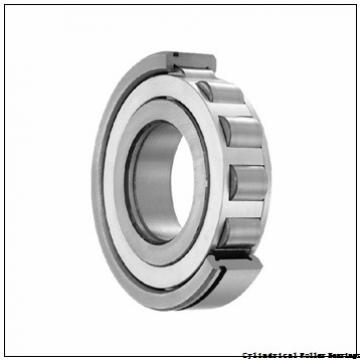 1.181 Inch | 30 Millimeter x 2.835 Inch | 72 Millimeter x 0.748 Inch | 19 Millimeter  CONSOLIDATED BEARING NJ-306E W/23  Cylindrical Roller Bearings