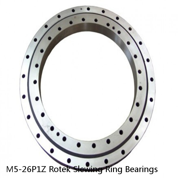 M5-26P1Z Rotek Slewing Ring Bearings