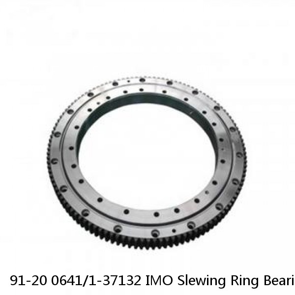 91-20 0641/1-37132 IMO Slewing Ring Bearings