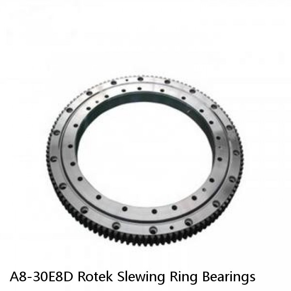 A8-30E8D Rotek Slewing Ring Bearings