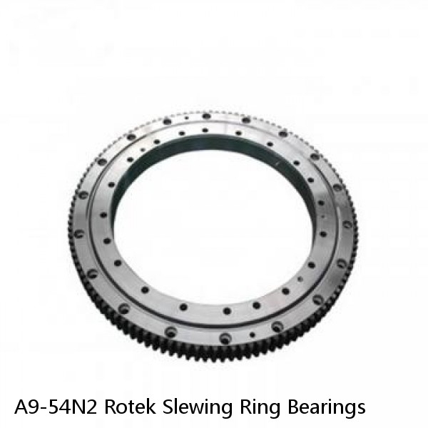 A9-54N2 Rotek Slewing Ring Bearings