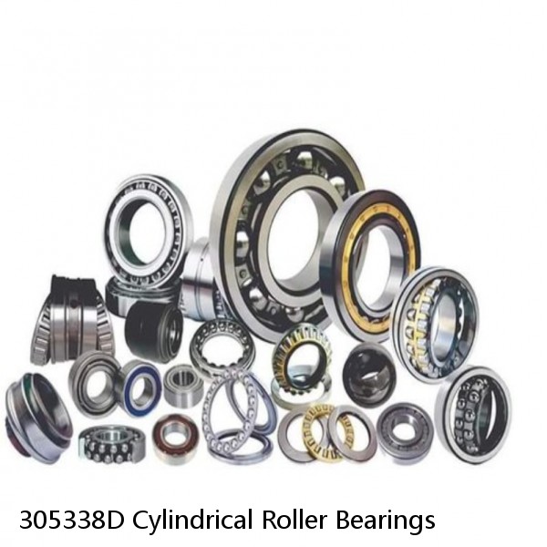 305338D Cylindrical Roller Bearings