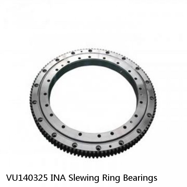 VU140325 INA Slewing Ring Bearings