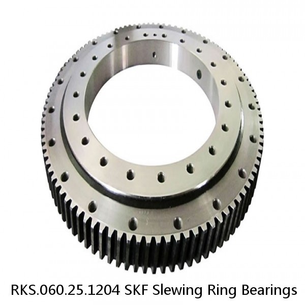 RKS.060.25.1204 SKF Slewing Ring Bearings