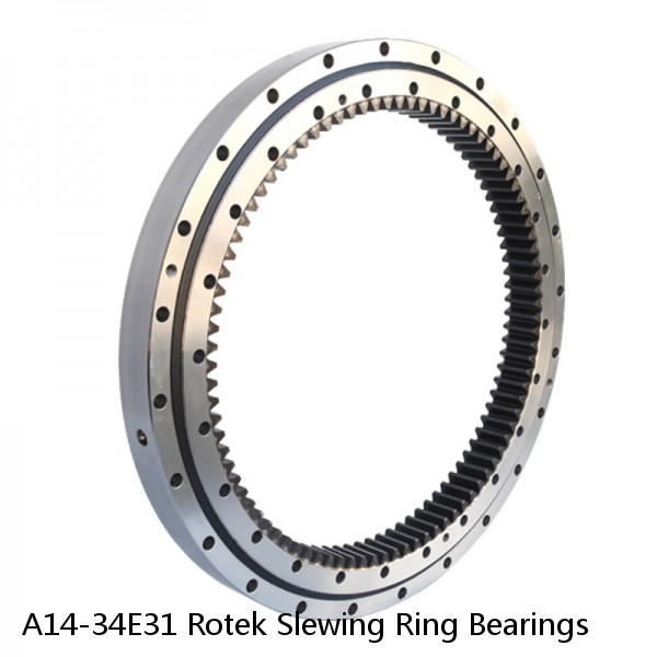 A14-34E31 Rotek Slewing Ring Bearings