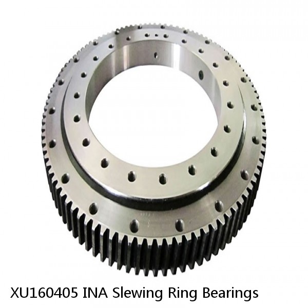 XU160405 INA Slewing Ring Bearings