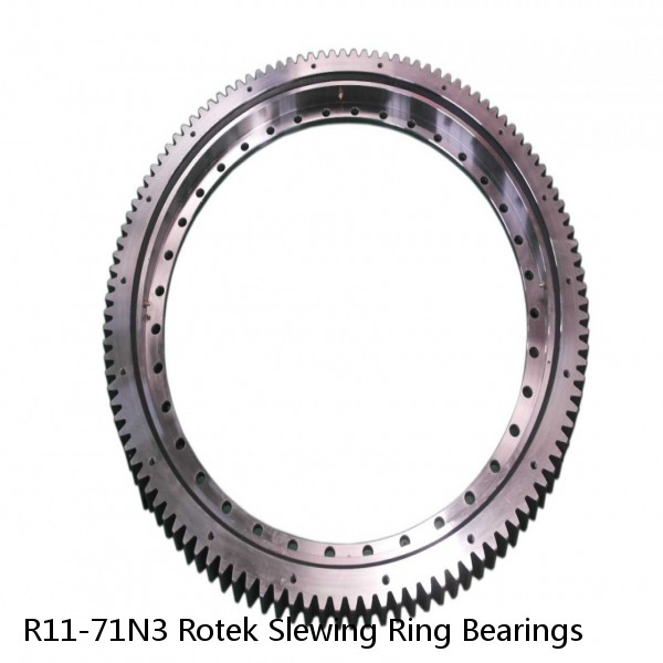 R11-71N3 Rotek Slewing Ring Bearings