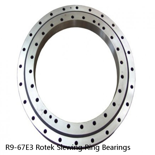 R9-67E3 Rotek Slewing Ring Bearings