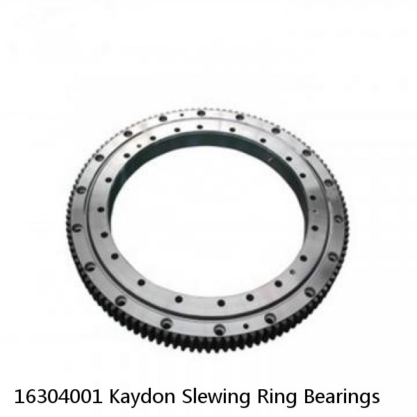 16304001 Kaydon Slewing Ring Bearings