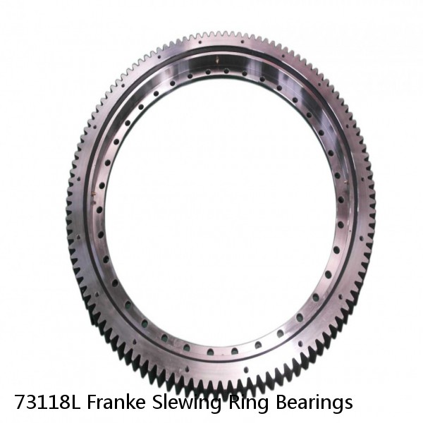 73118L Franke Slewing Ring Bearings