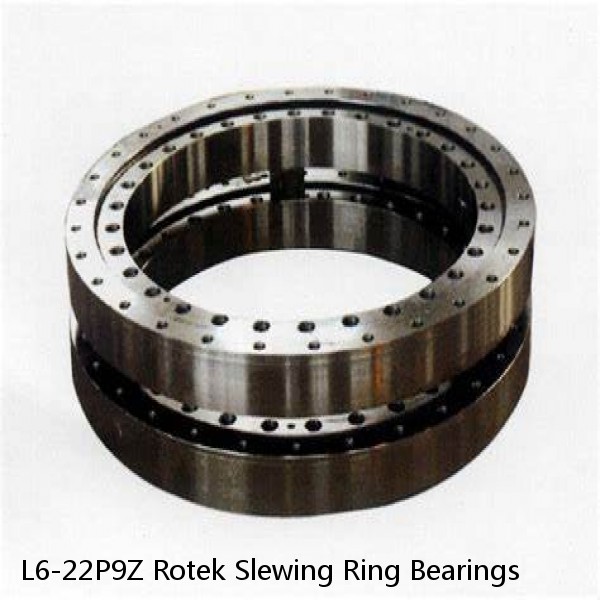 L6-22P9Z Rotek Slewing Ring Bearings