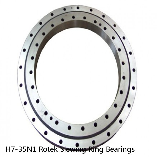 H7-35N1 Rotek Slewing Ring Bearings