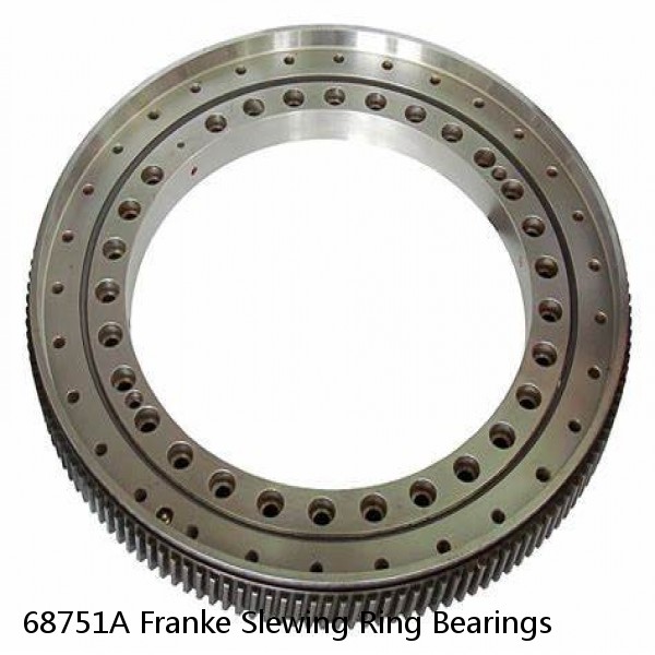 68751A Franke Slewing Ring Bearings