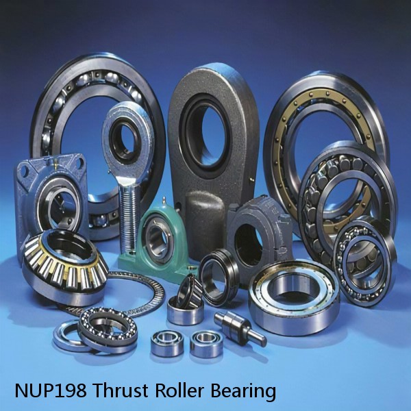 NUP198 Thrust Roller Bearing