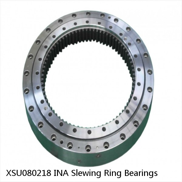 XSU080218 INA Slewing Ring Bearings