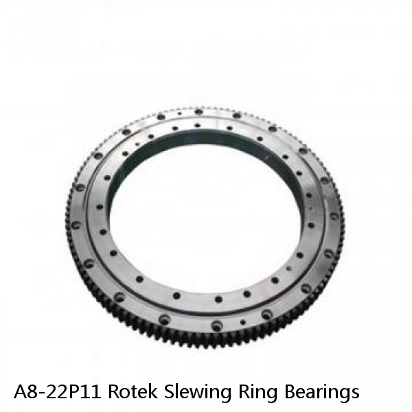 A8-22P11 Rotek Slewing Ring Bearings