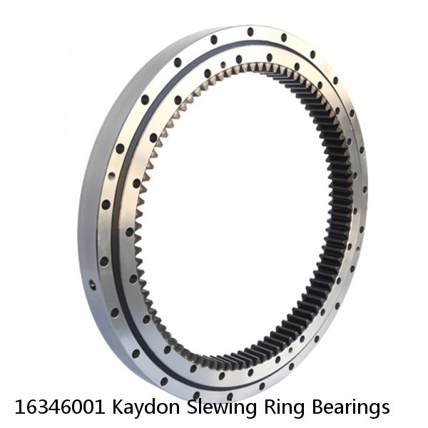 16346001 Kaydon Slewing Ring Bearings