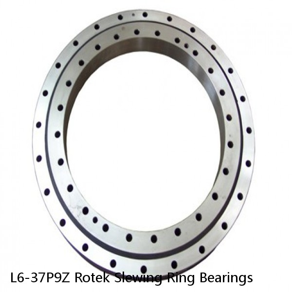 L6-37P9Z Rotek Slewing Ring Bearings