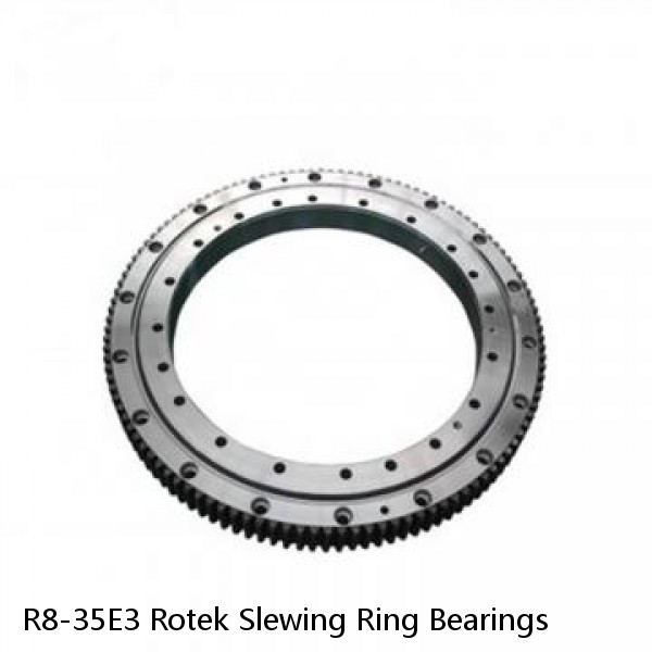 R8-35E3 Rotek Slewing Ring Bearings