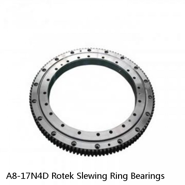 A8-17N4D Rotek Slewing Ring Bearings