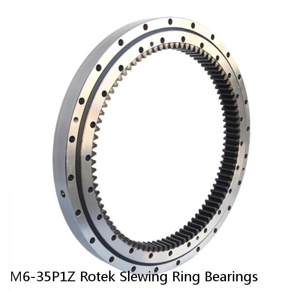 M6-35P1Z Rotek Slewing Ring Bearings