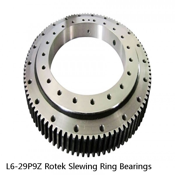 L6-29P9Z Rotek Slewing Ring Bearings