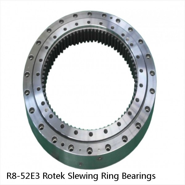 R8-52E3 Rotek Slewing Ring Bearings