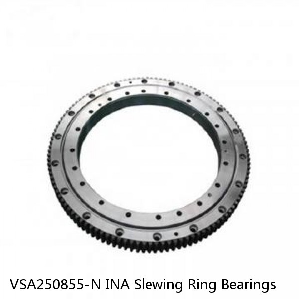 VSA250855-N INA Slewing Ring Bearings