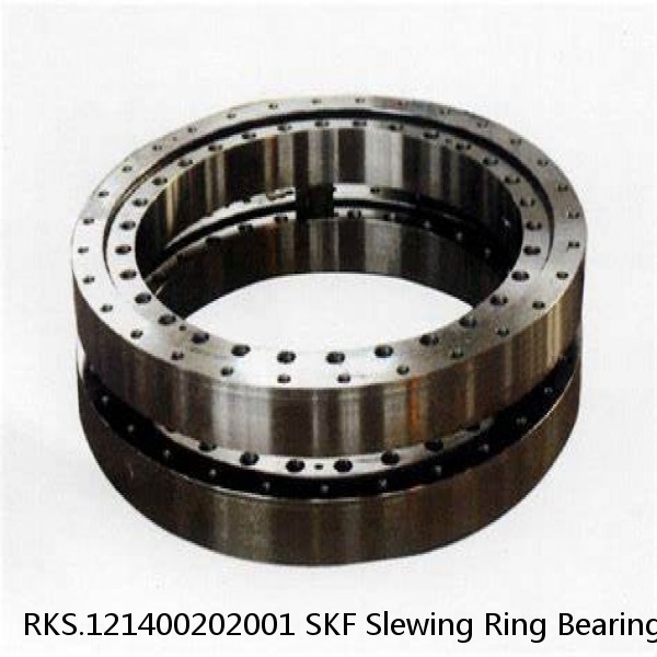 RKS.121400202001 SKF Slewing Ring Bearings