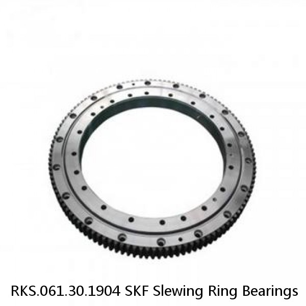 RKS.061.30.1904 SKF Slewing Ring Bearings