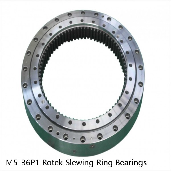 M5-36P1 Rotek Slewing Ring Bearings