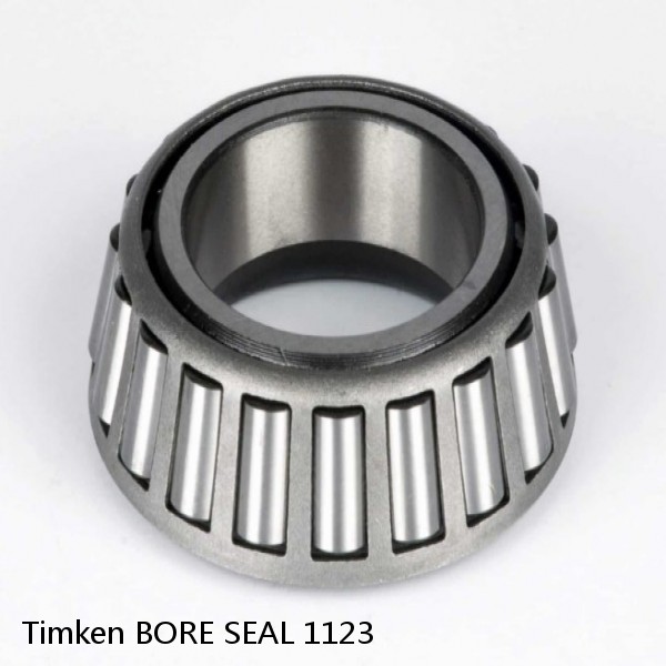 BORE SEAL 1123 Timken Tapered Roller Bearing