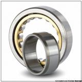 1.575 Inch | 40 Millimeter x 3.543 Inch | 90 Millimeter x 0.906 Inch | 23 Millimeter  CONSOLIDATED BEARING NJ-308E  Cylindrical Roller Bearings